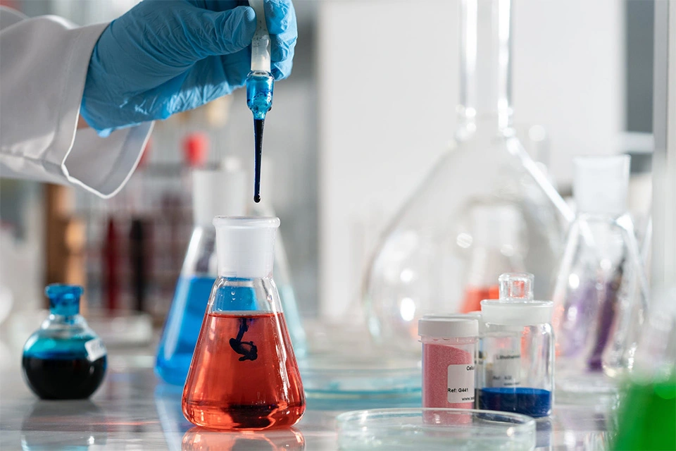 หลักสูตรสายอาชีพ (Diploma)